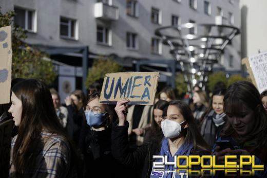 Ulicami miasta przeszedł marsz w obronie klimatu