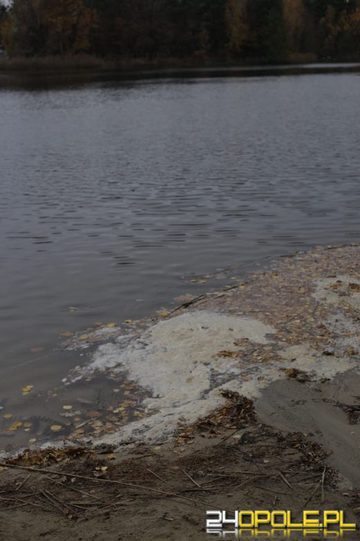 Martwe ryby w  jeziorze w Turawie