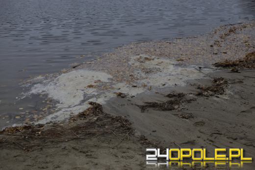 Martwe ryby w  jeziorze w Turawie