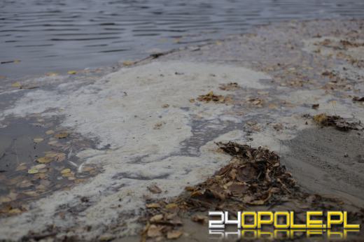 Martwe ryby w  jeziorze w Turawie