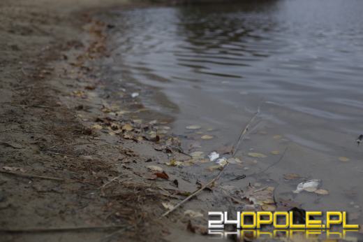 Martwe ryby w  jeziorze w Turawie