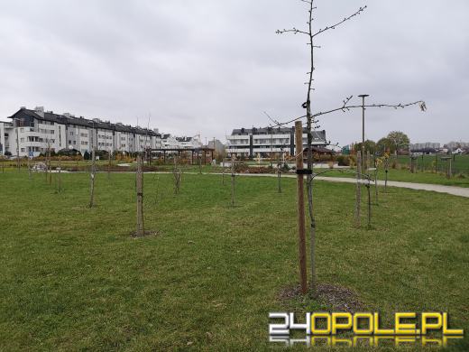Wandale regularnie demolują Park sensoryczny. Miasto zleciło naprawę zniszczeń