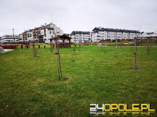 Wandale regularnie demolują Park sensoryczny. Miasto zleciło naprawę zniszczeń