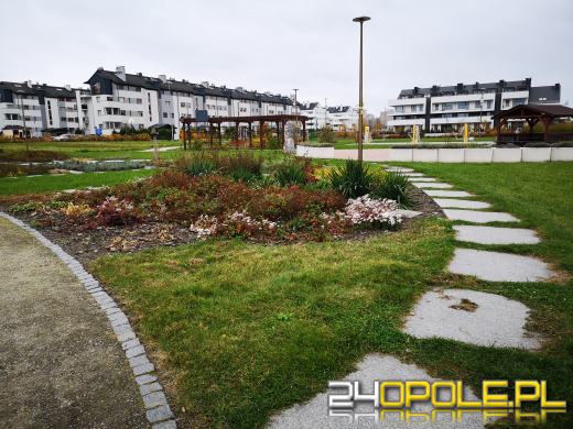 Wandale regularnie demolują Park sensoryczny. Miasto zleciło naprawę zniszczeń