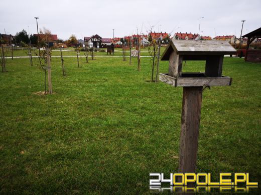 Wandale regularnie demolują Park sensoryczny. Miasto zleciło naprawę zniszczeń