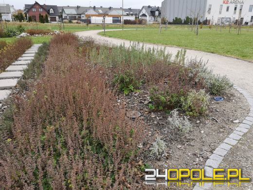 Wandale regularnie demolują Park sensoryczny. Miasto zleciło naprawę zniszczeń