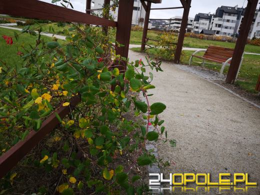 Wandale regularnie demolują Park sensoryczny. Miasto zleciło naprawę zniszczeń