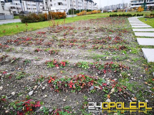 Wandale regularnie demolują Park sensoryczny. Miasto zleciło naprawę zniszczeń