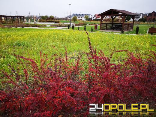 Wandale regularnie demolują Park sensoryczny. Miasto zleciło naprawę zniszczeń