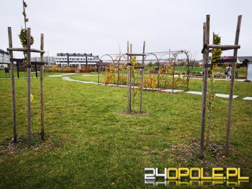 Wandale regularnie demolują Park sensoryczny. Miasto zleciło naprawę zniszczeń