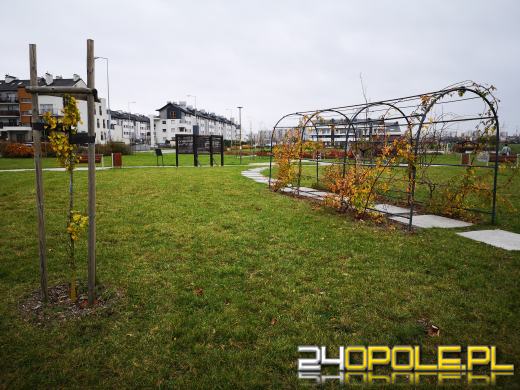Wandale regularnie demolują Park sensoryczny. Miasto zleciło naprawę zniszczeń