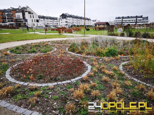 Wandale regularnie demolują Park sensoryczny. Miasto zleciło naprawę zniszczeń