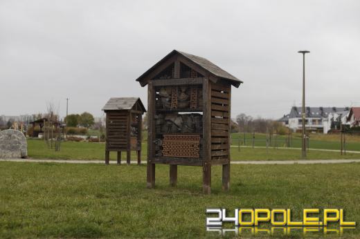 Wandale regularnie demolują Park sensoryczny. Miasto zleciło naprawę zniszczeń