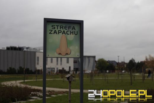 Wandale regularnie demolują Park sensoryczny. Miasto zleciło naprawę zniszczeń