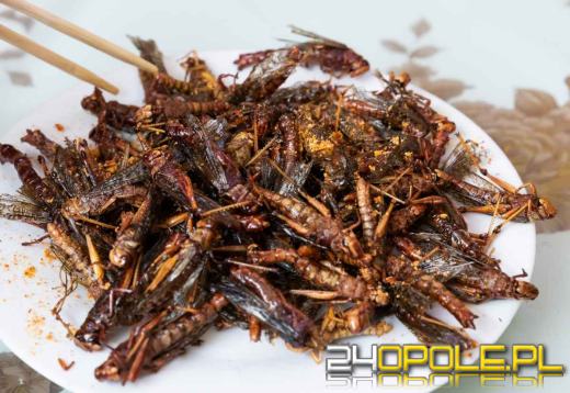 Owady w menu. Jest zgoda na ich serwowanie