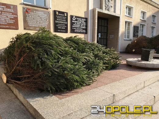 Miasto rozpoczyna przygotowania do świąt