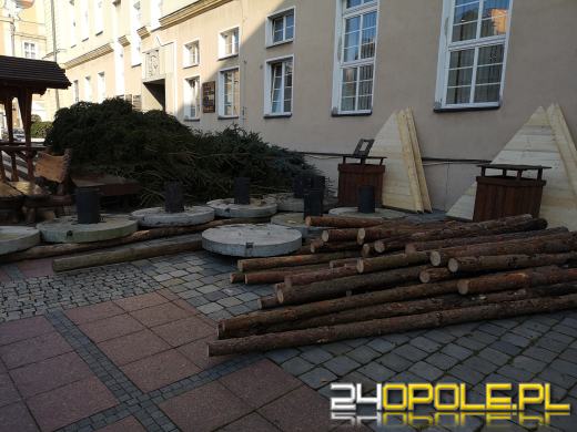 Miasto rozpoczyna przygotowania do świąt