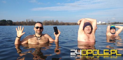 Morsy rzadko chorują, a ich ciała młodnieją