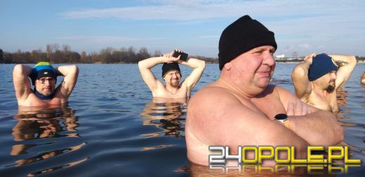 Morsy rzadko chorują, a ich ciała młodnieją