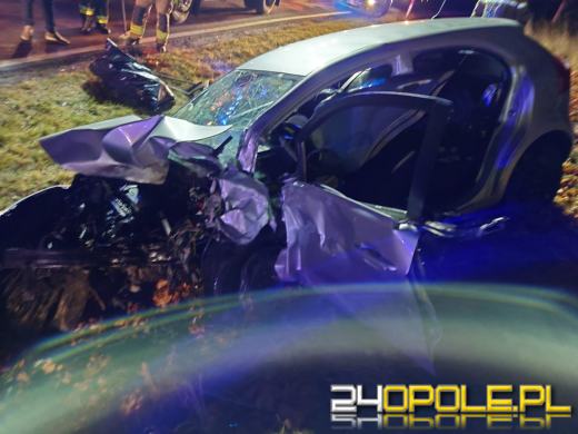 Poważny wypadek w powiecie prudnickim. Ranne zostały 4 osoby