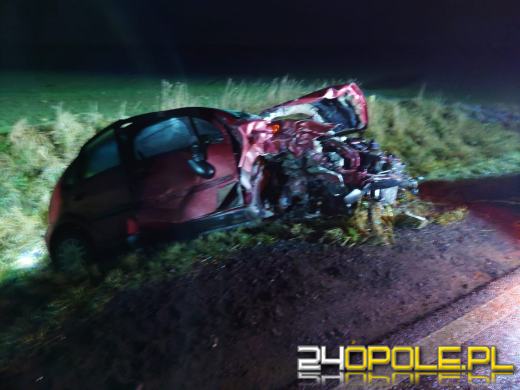 Poważny wypadek w powiecie prudnickim. Ranne zostały 4 osoby
