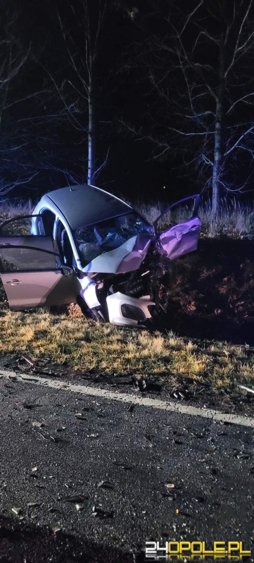 Poważny wypadek w powiecie prudnickim. Ranne zostały 4 osoby