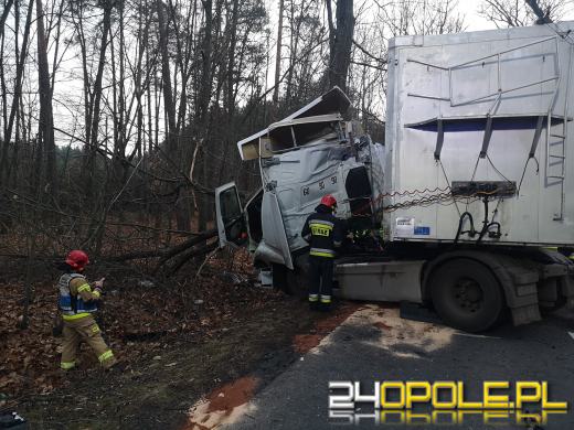 Kabina ciężarówki roztrzaskała się o drzewo. Kolizja na trasie Kup - Murów