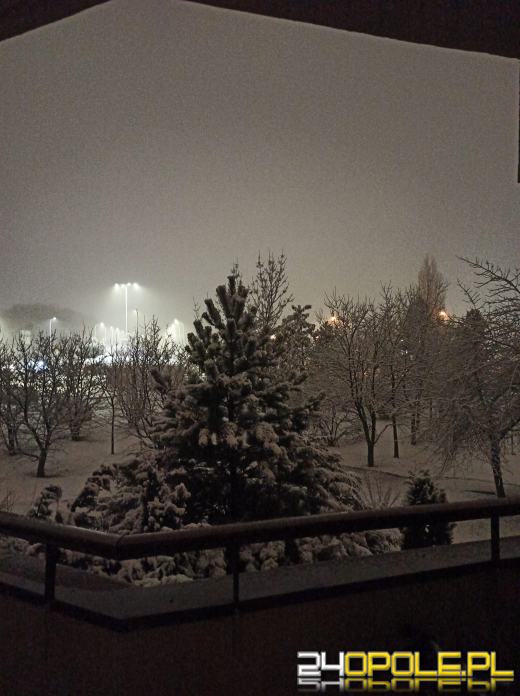 Spadł pierwszy śnieg. Opolanie...ulepili bałwany!