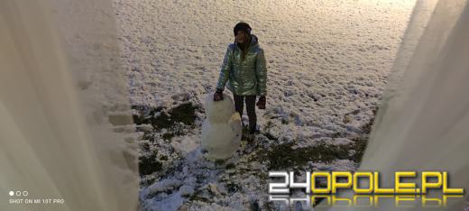 Spadł pierwszy śnieg. Opolanie...ulepili bałwany!