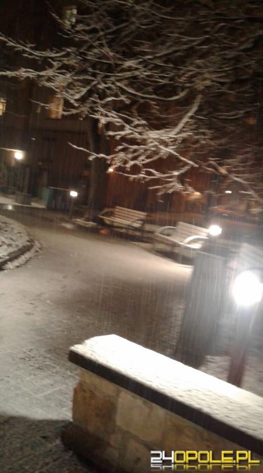 Spadł pierwszy śnieg. Opolanie...ulepili bałwany!
