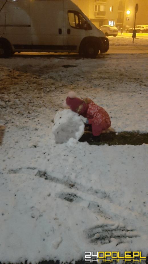 Spadł pierwszy śnieg. Opolanie...ulepili bałwany!