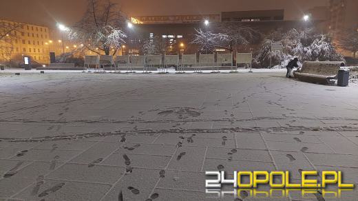 Spadł pierwszy śnieg. Opolanie...ulepili bałwany!
