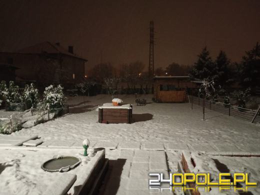 Spadł pierwszy śnieg. Opolanie...ulepili bałwany!