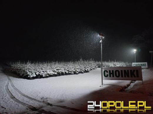 Spadł pierwszy śnieg. Opolanie...ulepili bałwany!