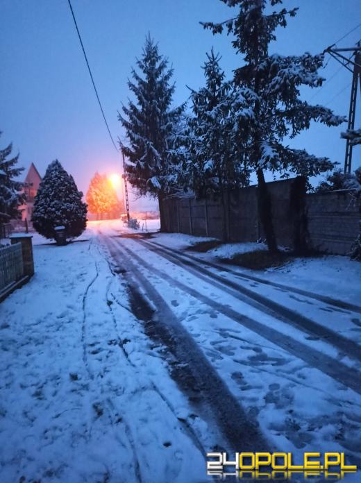 Spadł pierwszy śnieg. Opolanie...ulepili bałwany!