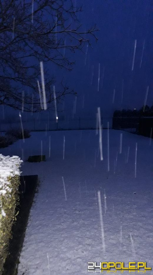 Spadł pierwszy śnieg. Opolanie...ulepili bałwany!
