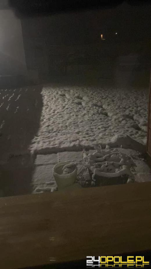 Spadł pierwszy śnieg. Opolanie...ulepili bałwany!