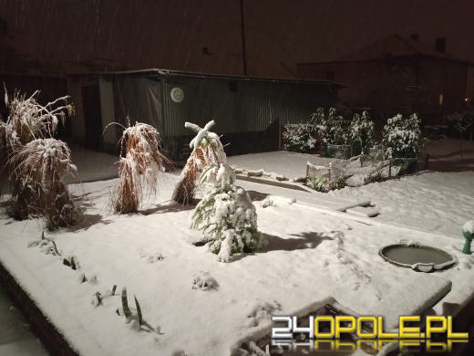 Spadł pierwszy śnieg. Opolanie...ulepili bałwany!