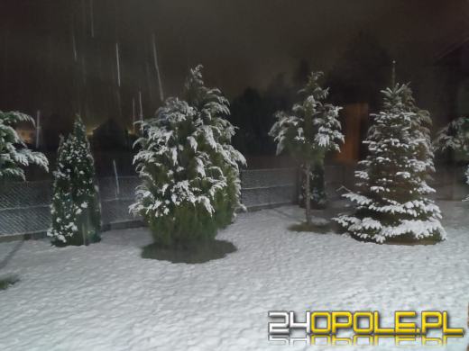 Spadł pierwszy śnieg. Opolanie...ulepili bałwany!