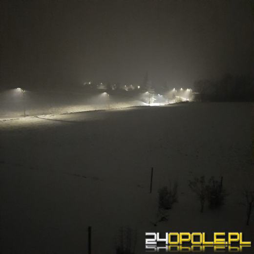 Spadł pierwszy śnieg. Opolanie...ulepili bałwany!