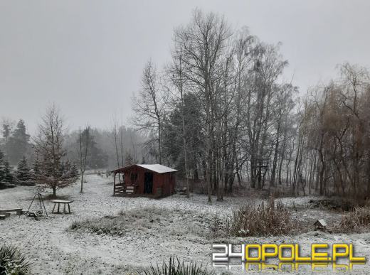 Spadł pierwszy śnieg. Opolanie...ulepili bałwany!
