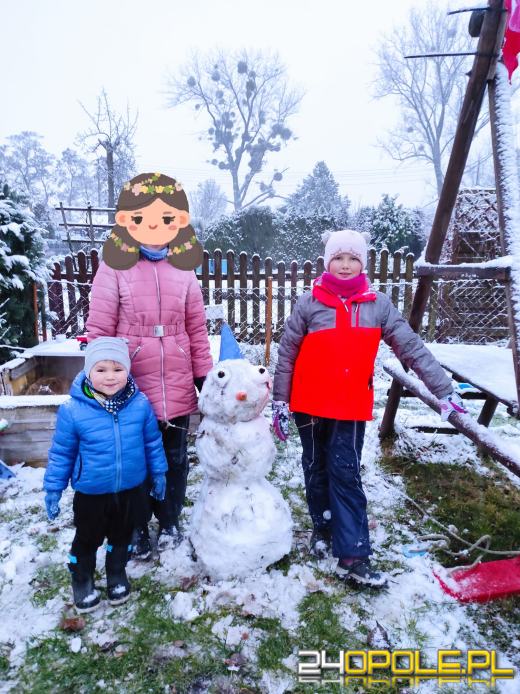 Spadł pierwszy śnieg. Opolanie...ulepili bałwany!