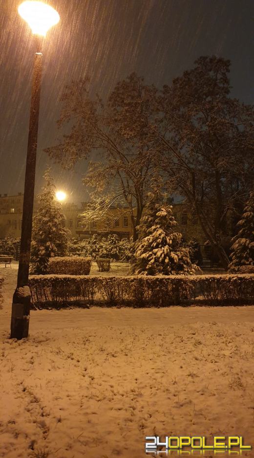 Spadł pierwszy śnieg. Opolanie...ulepili bałwany!