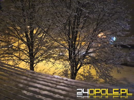 Spadł pierwszy śnieg. Opolanie...ulepili bałwany!