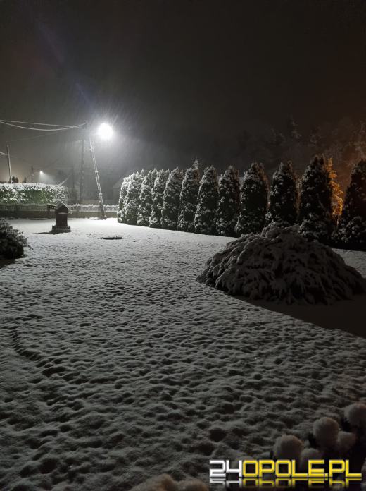 Spadł pierwszy śnieg. Opolanie...ulepili bałwany!