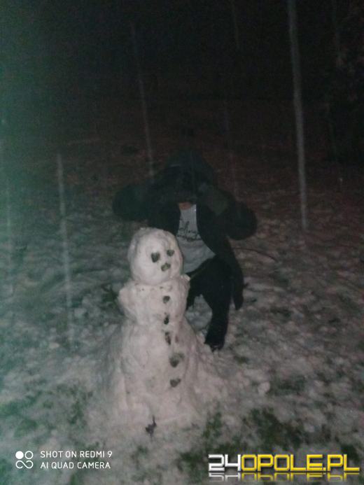 Spadł pierwszy śnieg. Opolanie...ulepili bałwany!