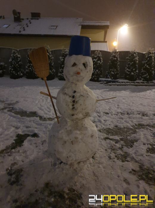 Spadł pierwszy śnieg. Opolanie...ulepili bałwany!