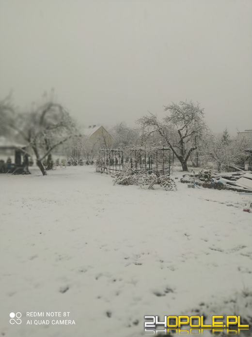 Spadł pierwszy śnieg. Opolanie...ulepili bałwany!