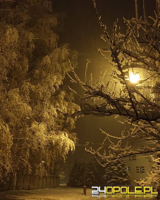 Spadł pierwszy śnieg. Opolanie...ulepili bałwany!