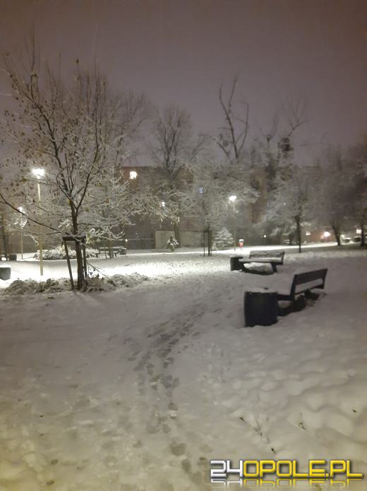 Spadł pierwszy śnieg. Opolanie...ulepili bałwany!